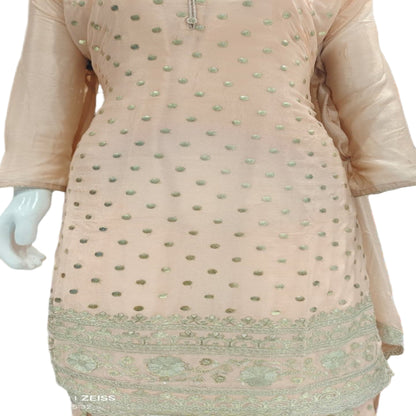 AWESOME PEACH PITA ZARI PLAZO